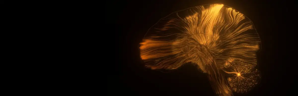 The Birth of an Artificial Intelligence