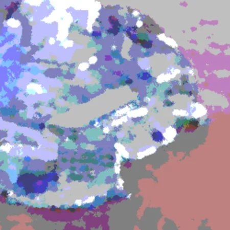 Portada de The Clotted Island