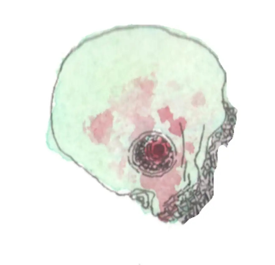 Portada de The Hanging Gardens