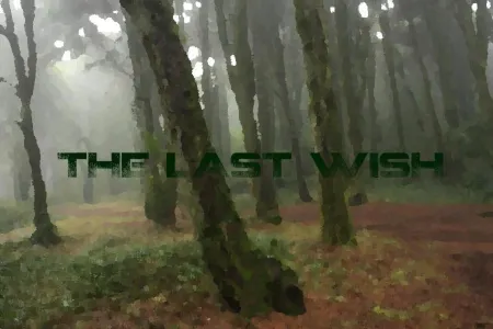Portada de The Last Wish