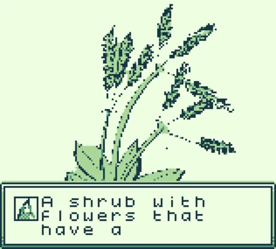 The Lightning Over Pear Acre Road