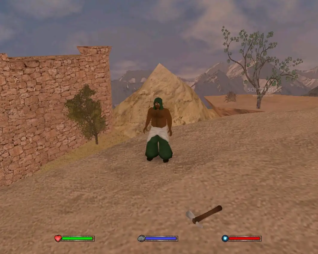 The Making of a Prophet