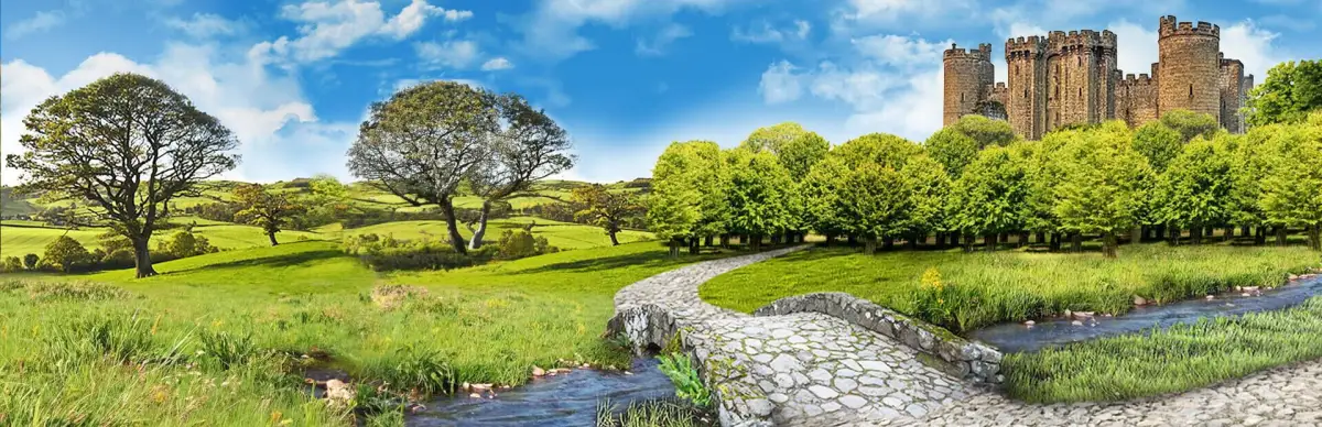 The Mystery of Blackthorn Castle