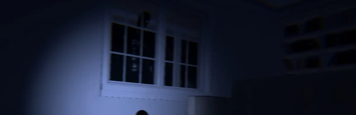 The Obsessive Shadow