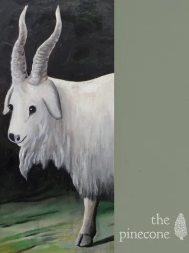 Portada de The Pinecone