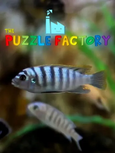 Portada de The Puzzle Factory