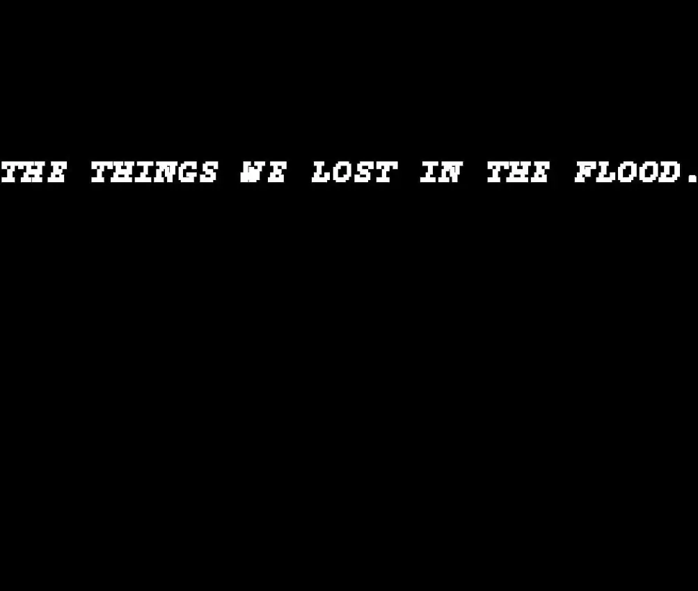The Things We Lost in the Flood
