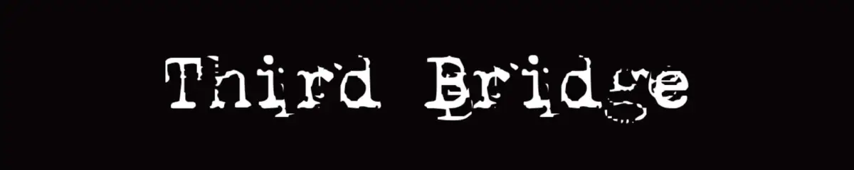 Portada de Third Bridge
