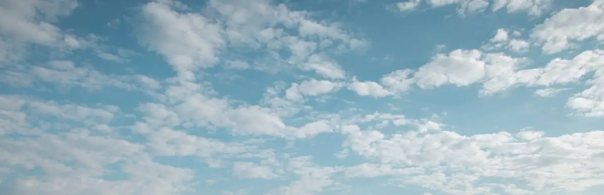 Timothy Leary’s Mind Mirror