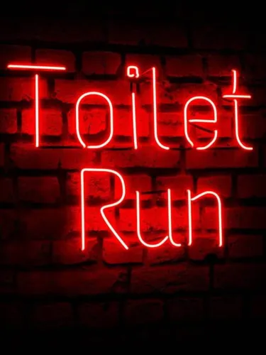 Portada de Toilet Run