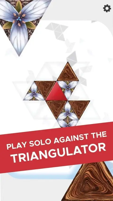 Triangul8