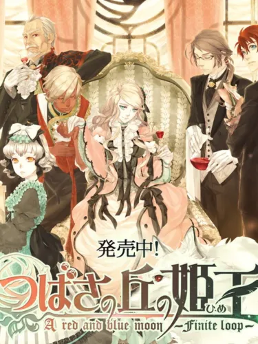 Portada de Tsubasa no Oka no Hime: A Red and Blue Moon Finite Loop