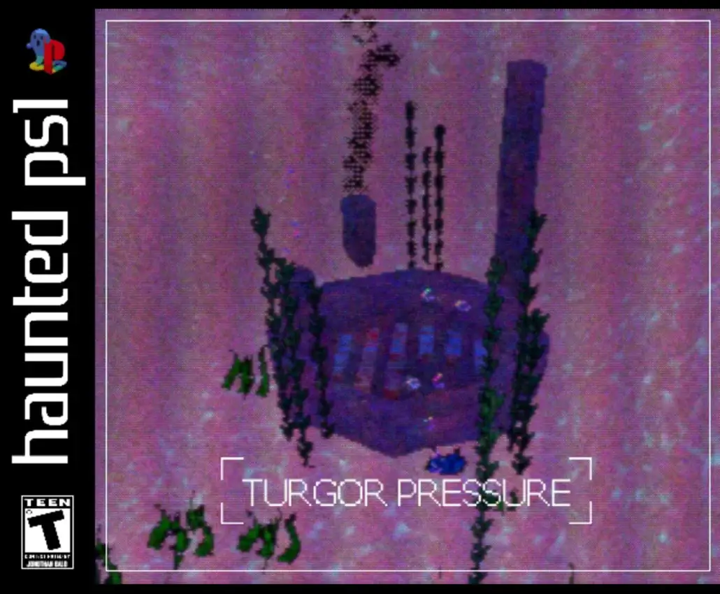 Turgor Pressure