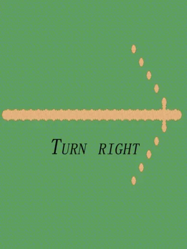 Portada de Turn right