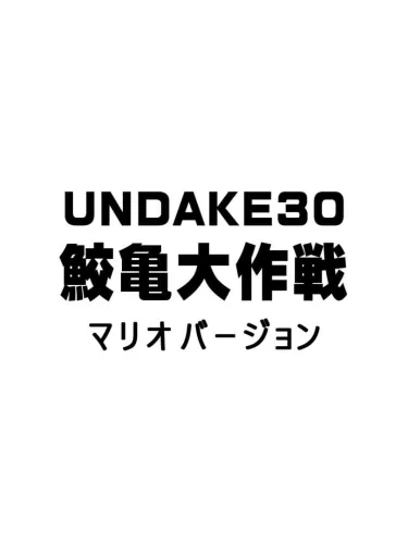 Portada de Undake30 SameGame Daisakusen Mario Version