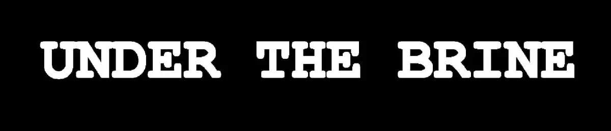 Portada de Under the Brine