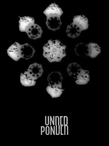 Portada de Underponder