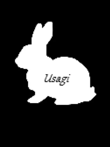 Portada de Usagi