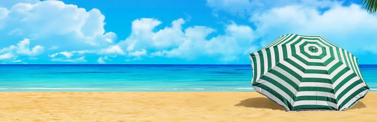 Vacation Paradise: Florida – Collector’s Edition