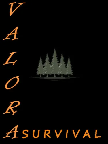 Portada de Valora Survival