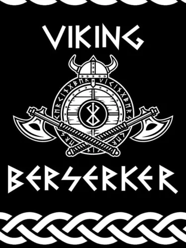 Portada de Viking Berserker