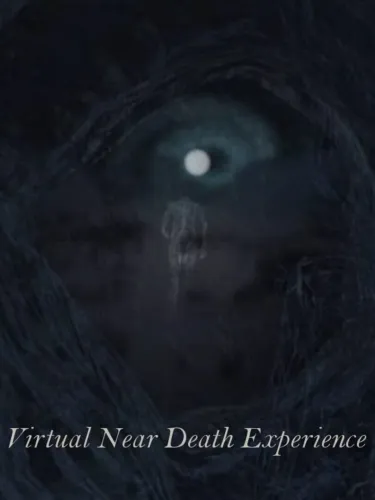 Portada de Virtual Near Death Experience