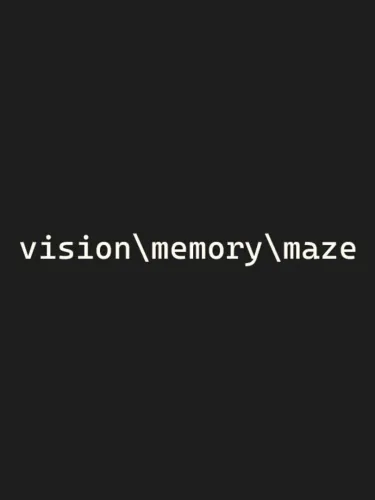 Portada de Vision Memory Maze