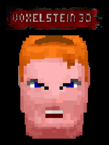 Portada de Voxelstein 3D