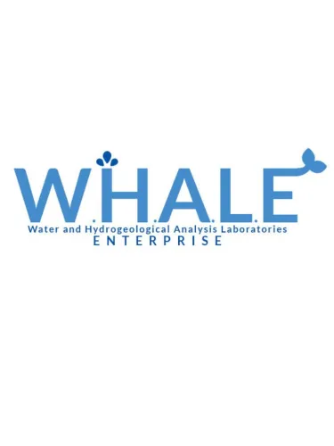 Portada de W.H.A.L.E.