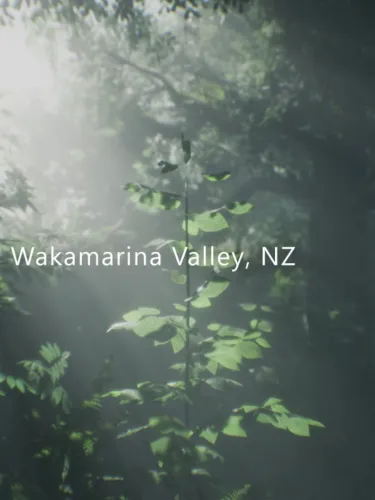 Portada de Wakamarina Valley, New Zealand