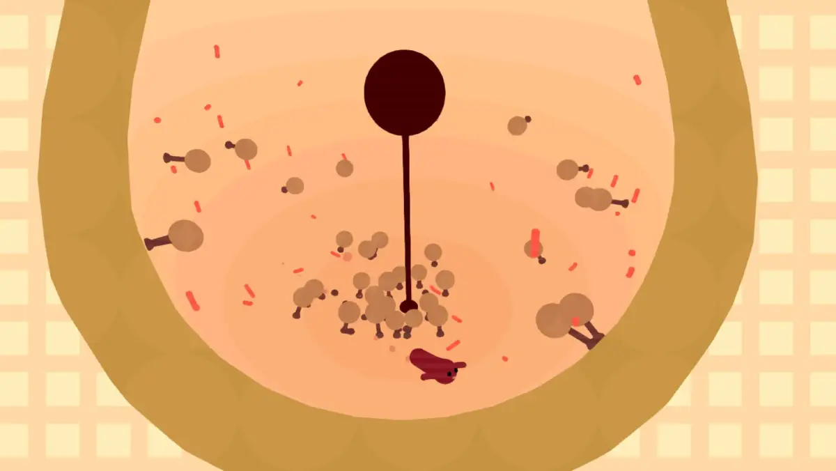 Portada de Wamu Wamu