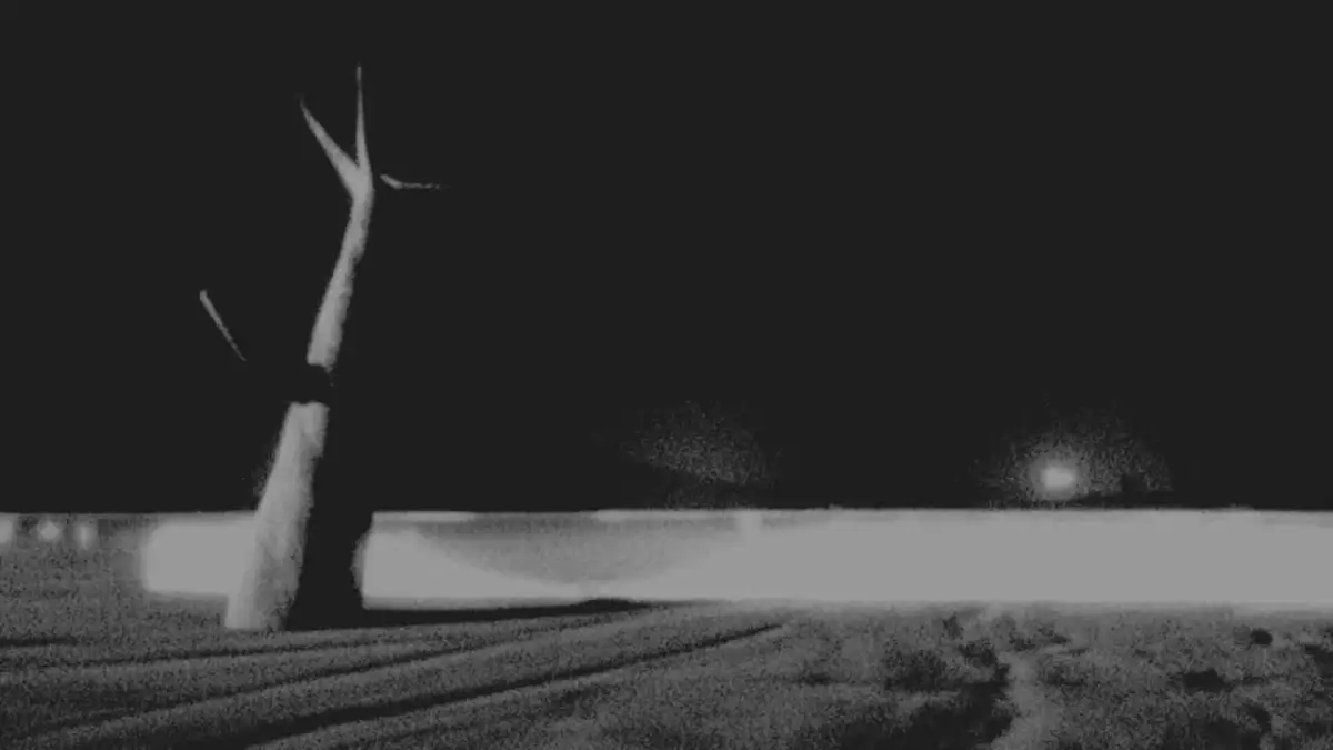 Portada de Werewolf in the Wild