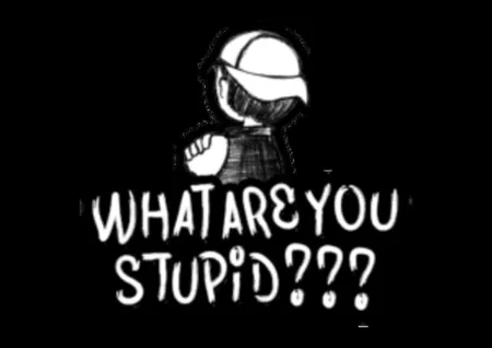 Portada de What Are You Stupid