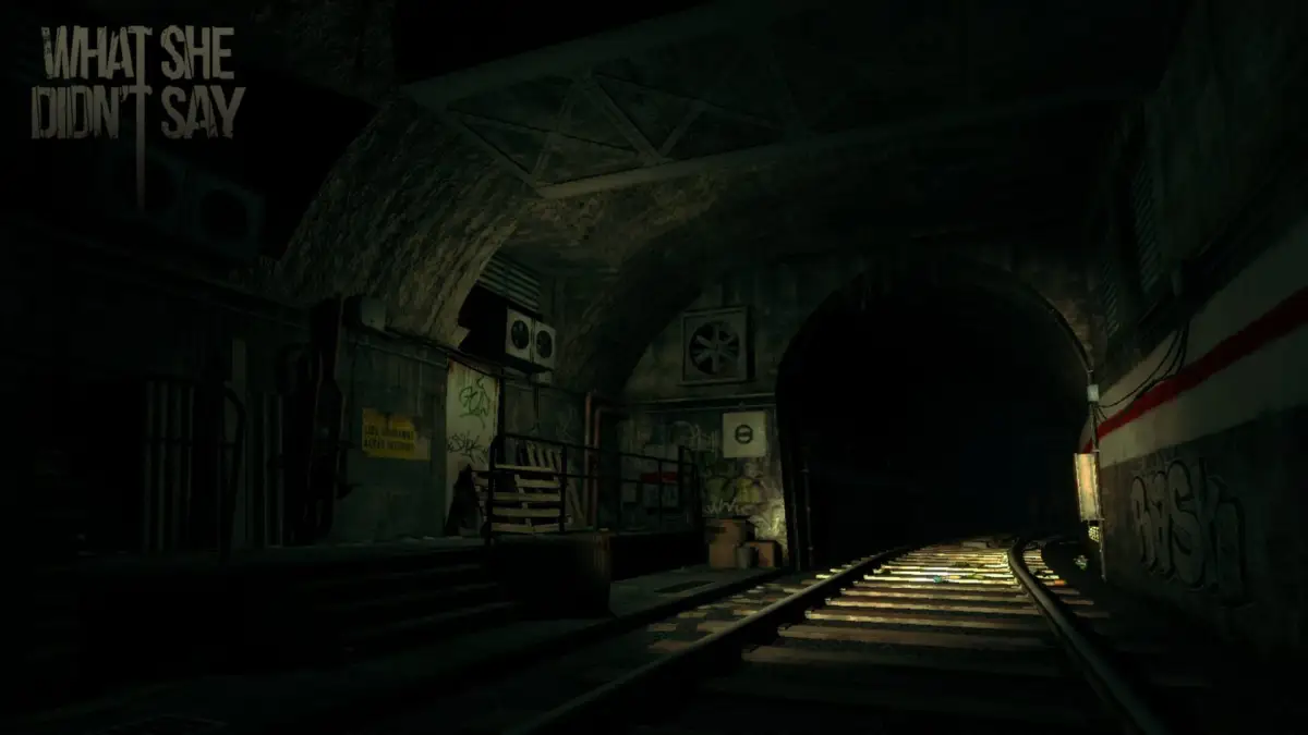 What She Didn’t Say