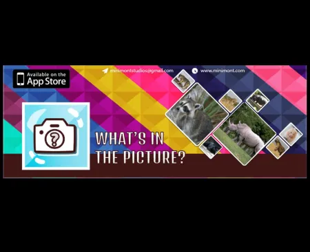 Portada de What’s in the Picture: Animals