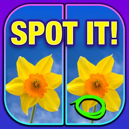 Portada de What’s the Difference? Spot It