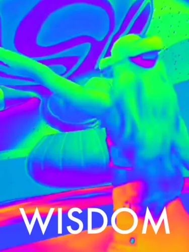 Portada de Wisdom