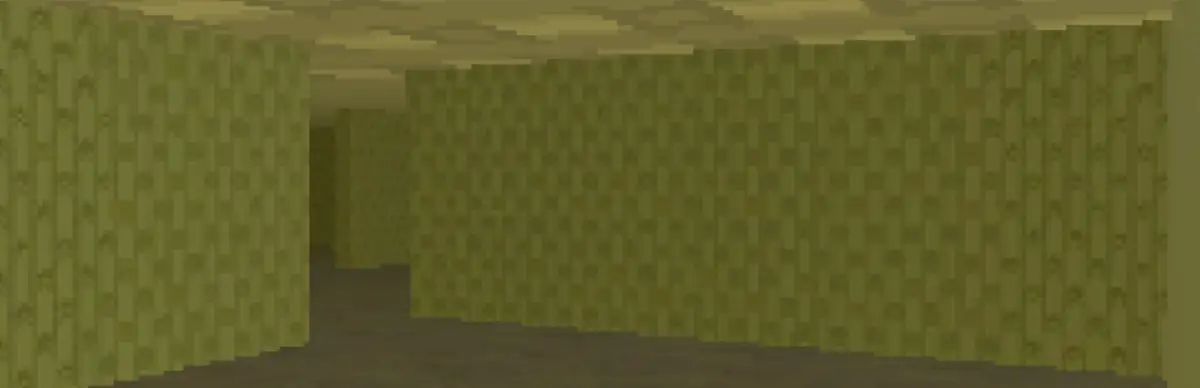 Within the Backrooms