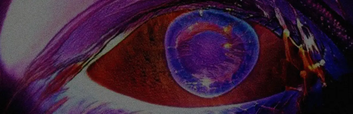 Witness of the Night