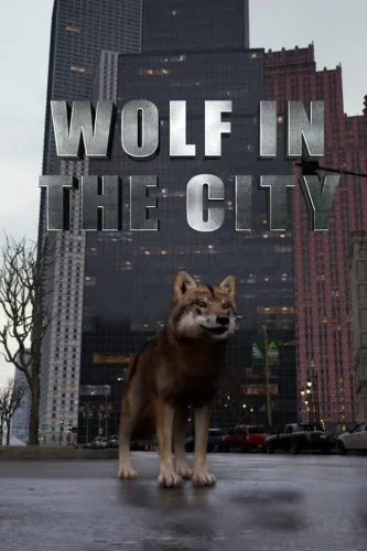Portada de Wolf in the City