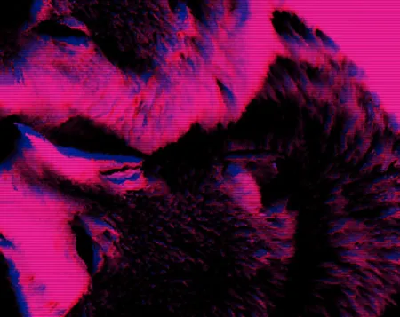 Portada de Wolfgirls in Love