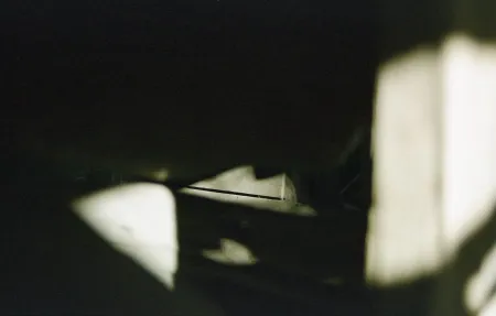 Portada de Wood and Water and Rock