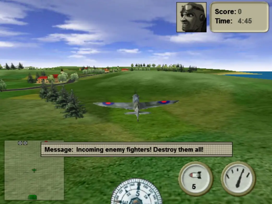 WWII Aerial Dogfight