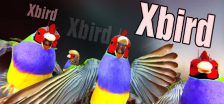 Portada oficial del videojuego Xbird