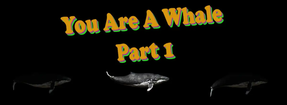 Portada de You Are a Whale Part 1